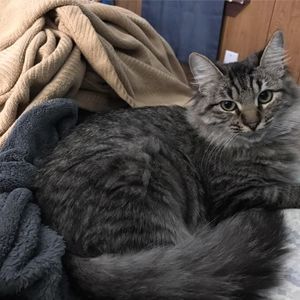 Meet your Posher, Michael