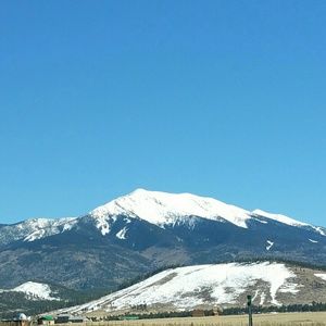 Meet your Posher, Carol