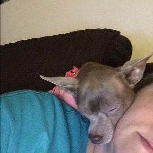 Meet your Posher, Denise