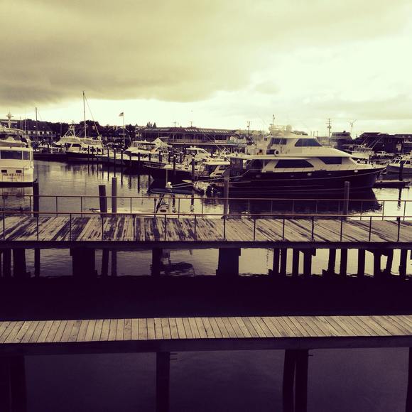 Meet your Posher, Kevin - Picture 1 of 1