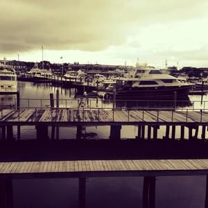 Meet your Posher, Kevin