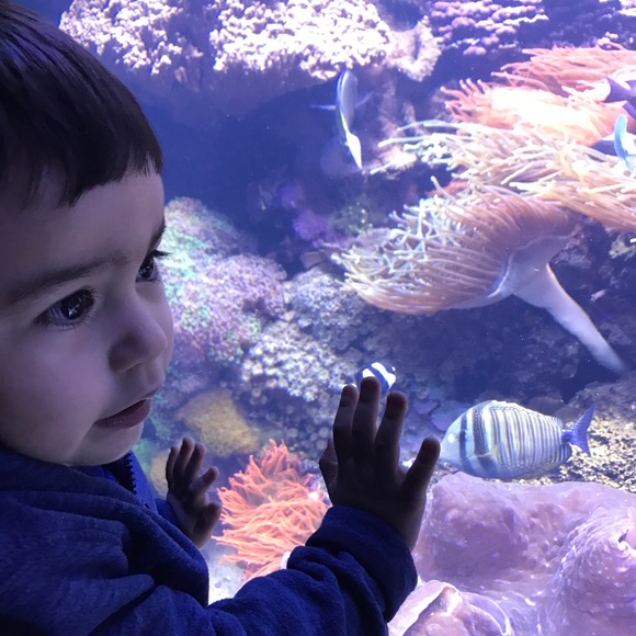 Meet your Posher, Raul - Picture 1 of 1