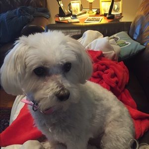 Meet your Posher, Carmela