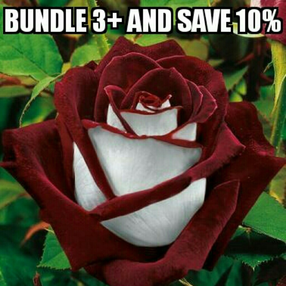 Bundle 3 or more items from my closet and save 10%