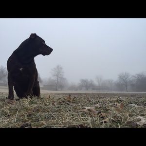 Meet your Posher, Natali