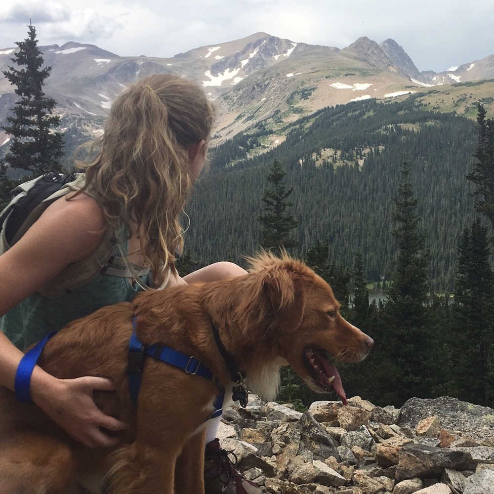 Meet your Posher, Lauren