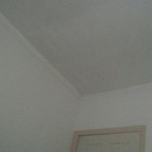 Meet your Posher, Fior