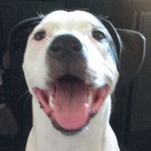 Meet your Posher, Feliz