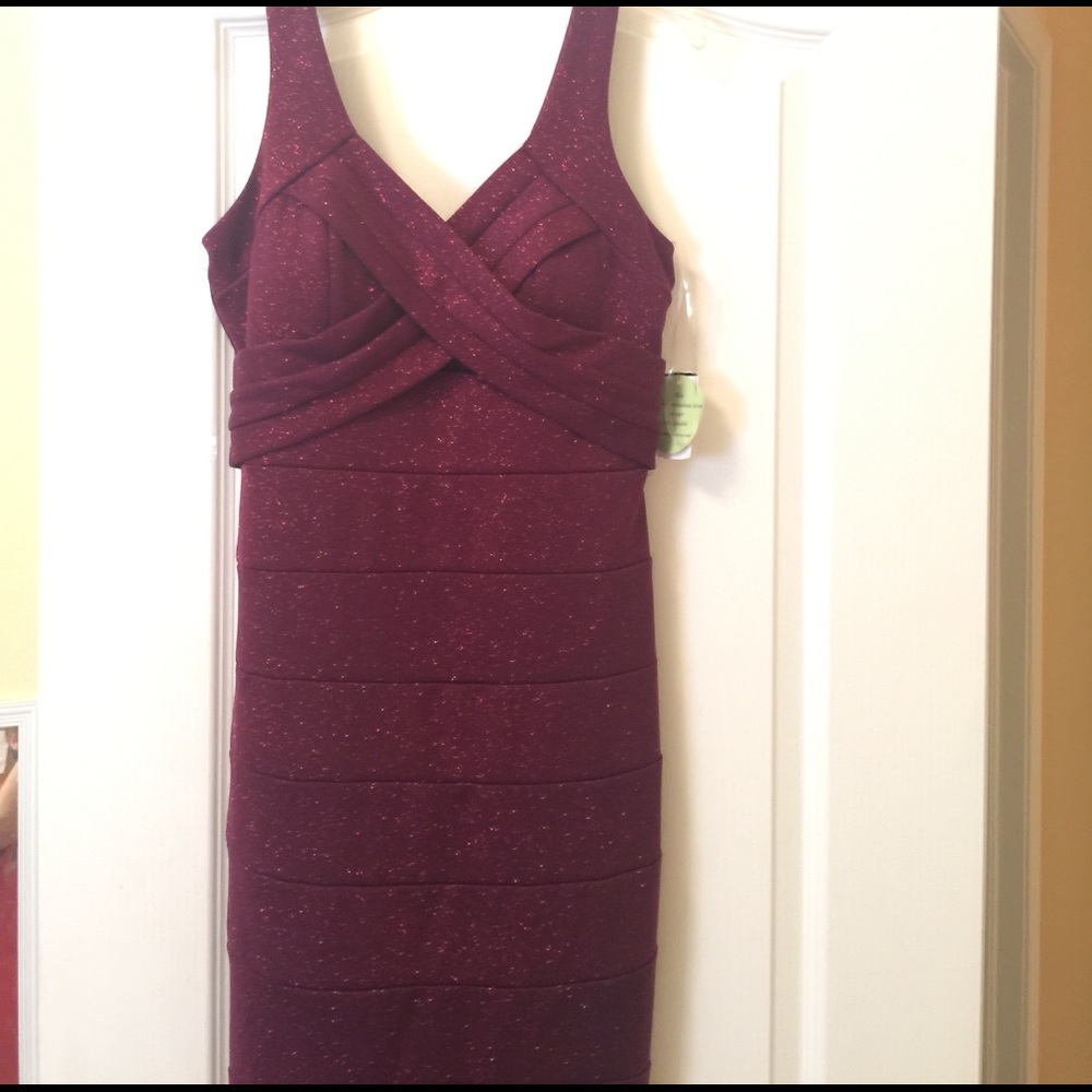 Purple gown NWT