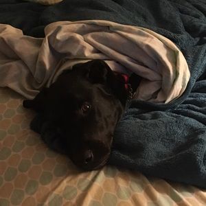 Meet your Posher, Nicole