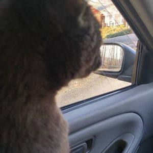 Meet your Posher, Glenn