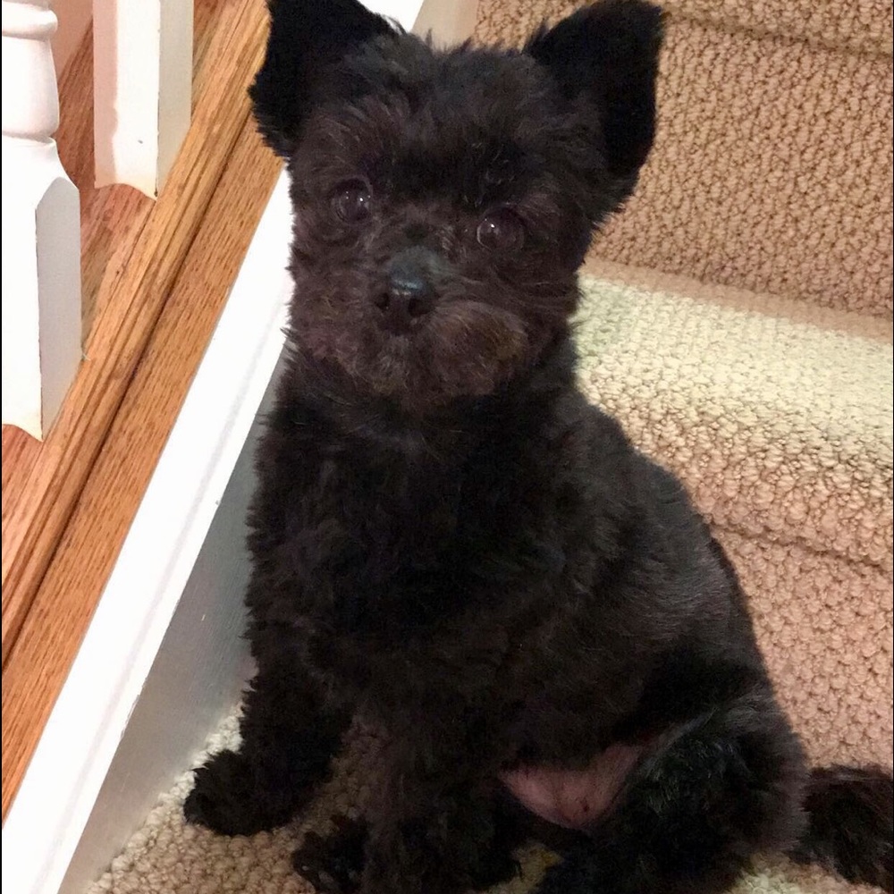 Meet your Posher, Barbara