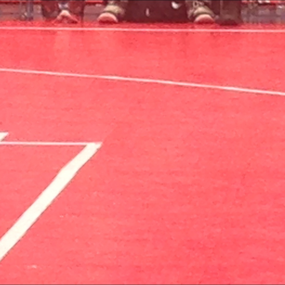 Meet your Posher, Goldie