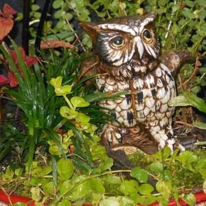 Meet your Posher, Dorian