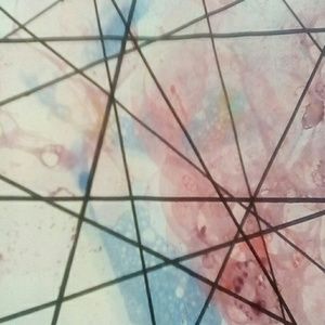 Meet your Posher, Nikki