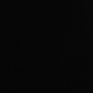 Meet your Posher, Jazmine