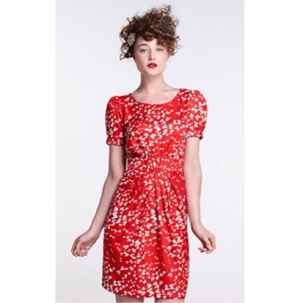 Vintage Anthropology Mini Dress with Dragonflies