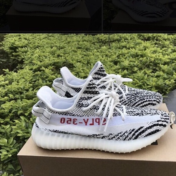 Yeezy Boost 350 V2 Zebras - Picture 1 of 4