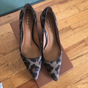 Coach Hair Calf Pumps