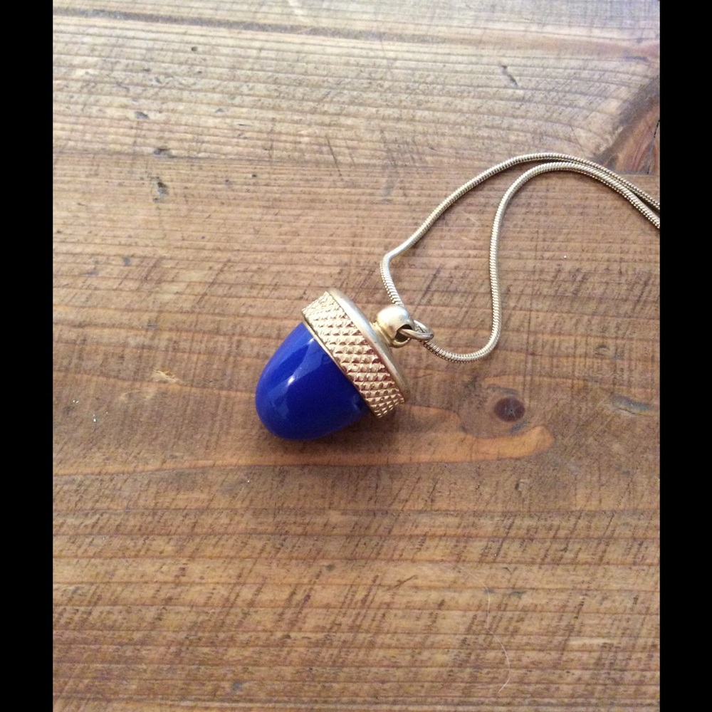 Madewell Blue Acorn Locket Necklace