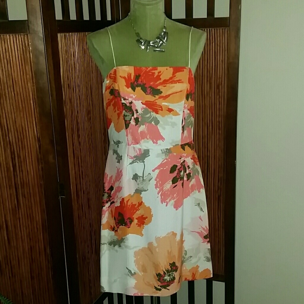 Silk Ann Taylor  Dress