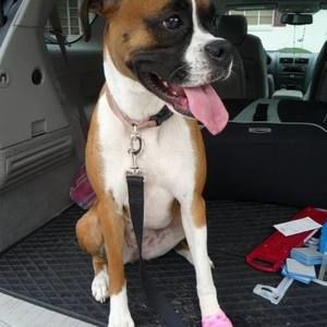 Meet your Posher, Elizabeth