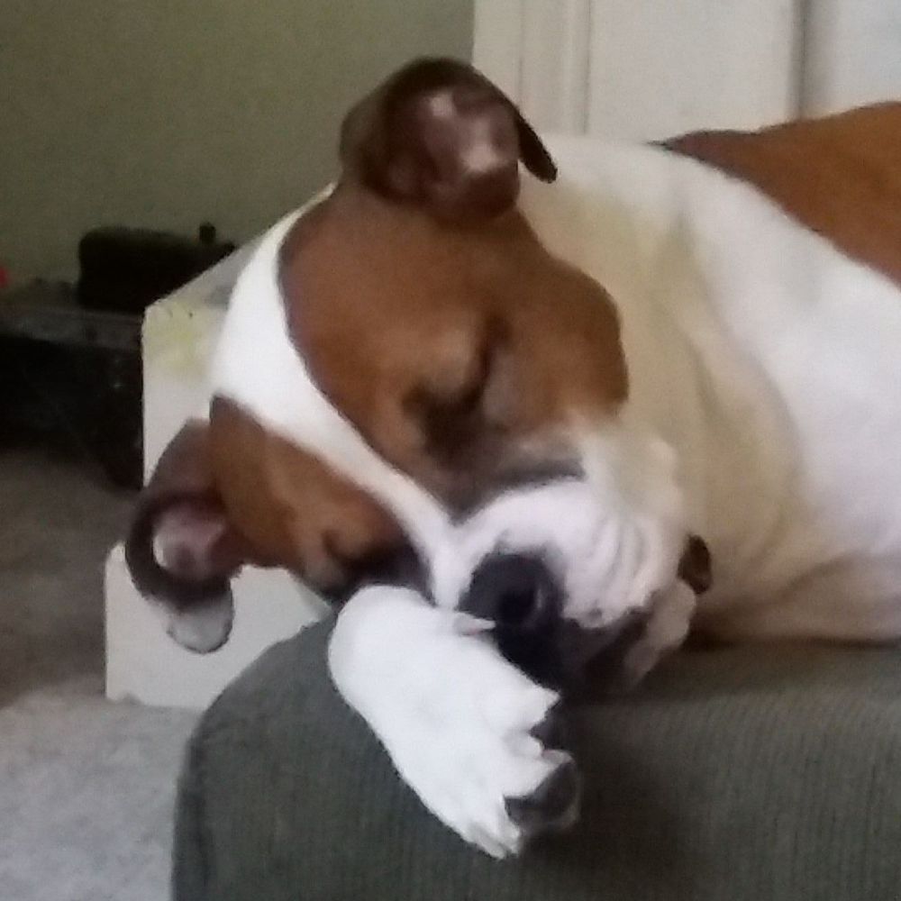 Meet your Posher, Celeste