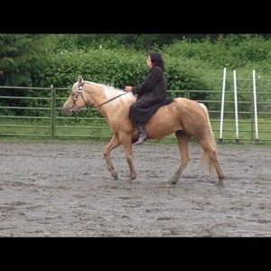 Meet your Posher, Linda