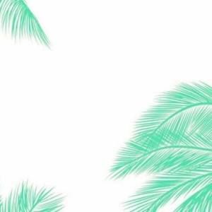 Meet your Posher, Isabella