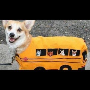 Meet your Posher, Jacee