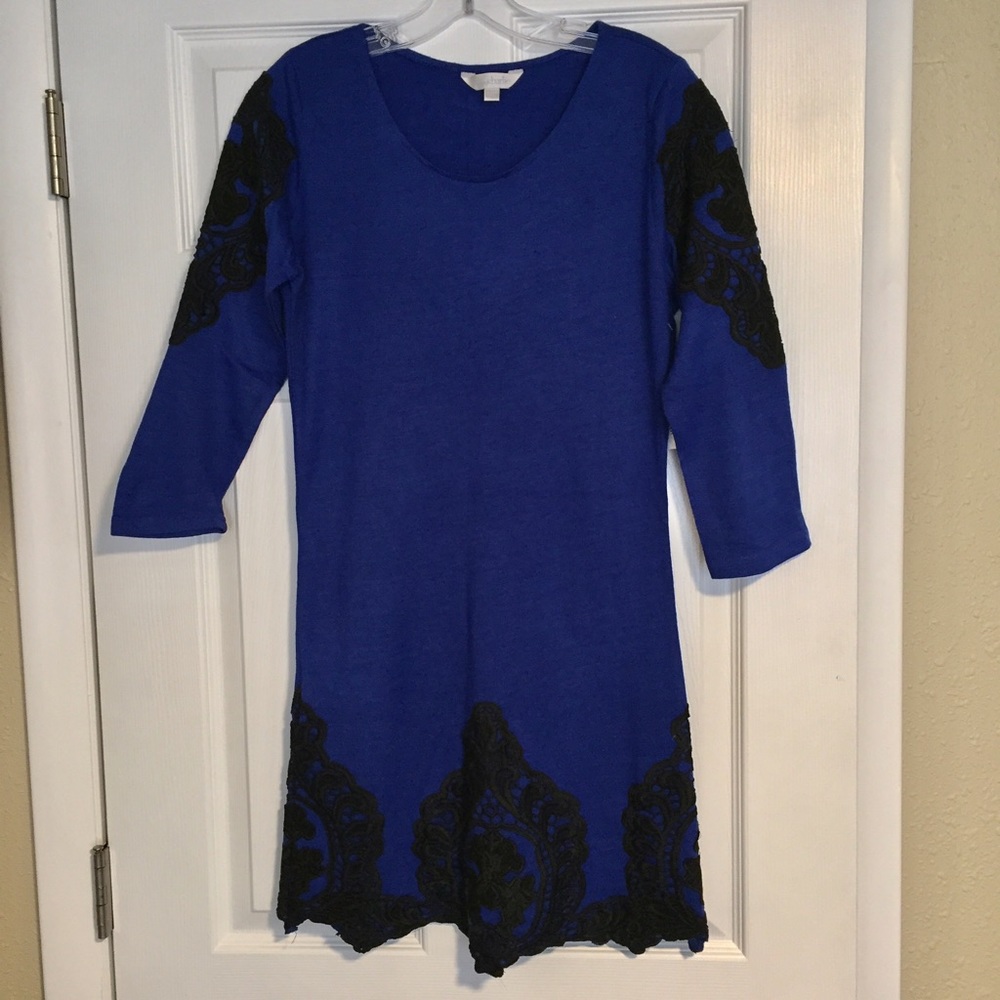 Charming Charlie | Blue 3/4 Sleeve Sweater Dress