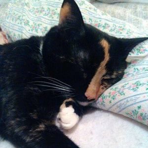 Meet your Posher, Kate