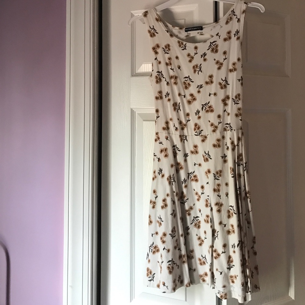 Brandy Melville skater dress