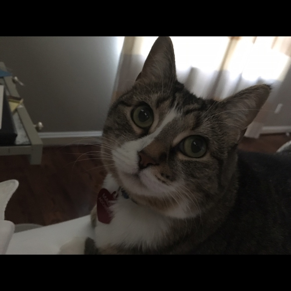 WHY IS EVERYONE FOLLOWING ME / BUT NOT BUYING!!