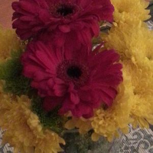 Meet your Posher, Carol