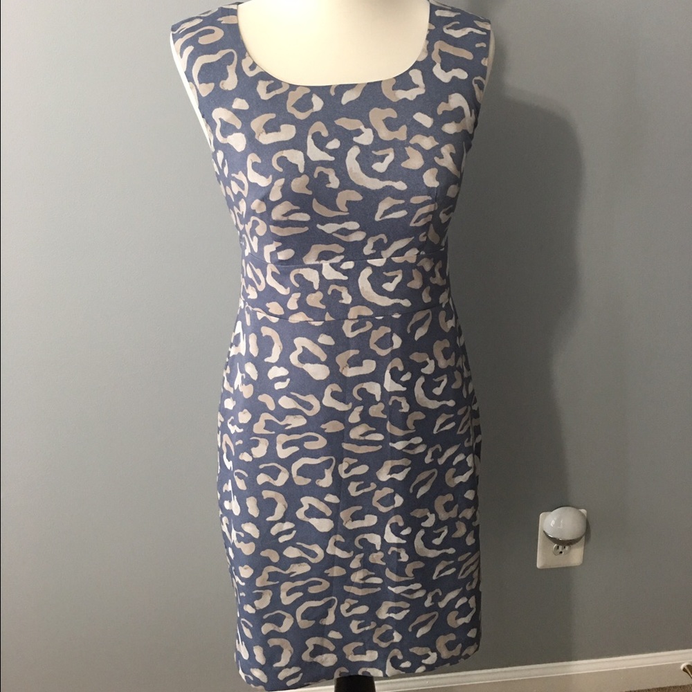 Ann Taylor Dress
