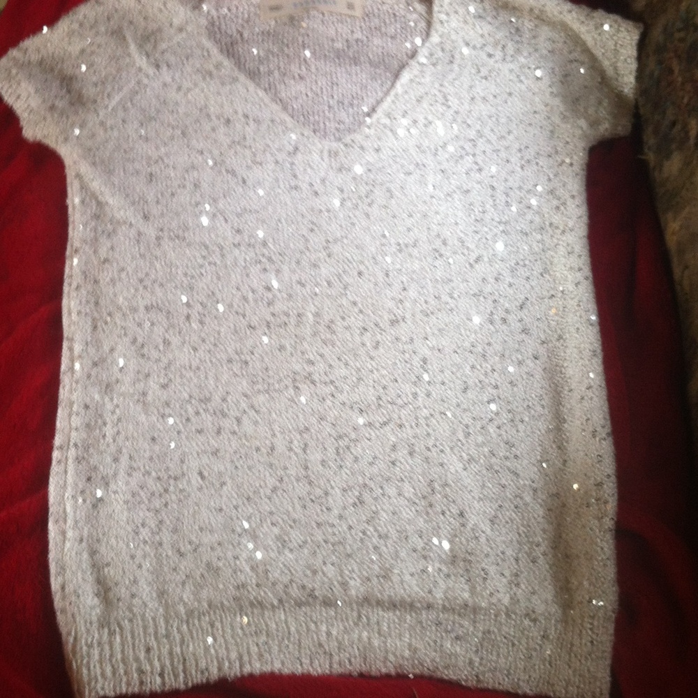 🚫TRADED🚫Short sleeved sweater with silver