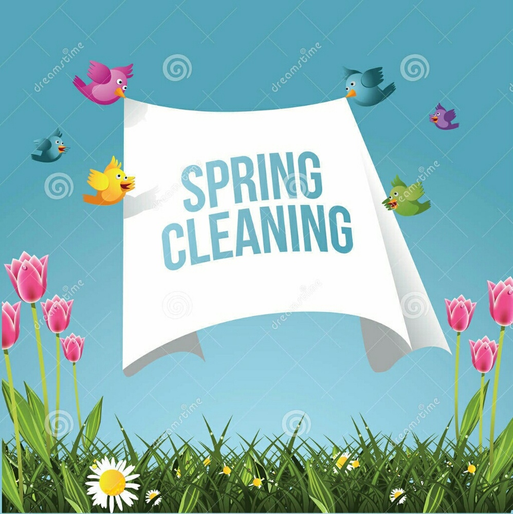 Spring Cleaning!!! - image 1