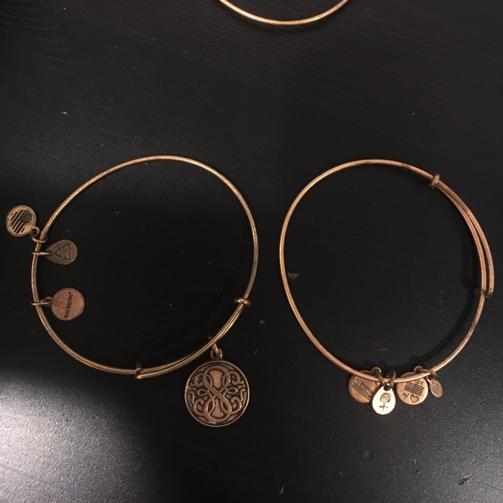 Two Alex and Ani Bracelets