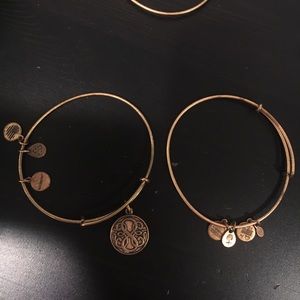 Two Alex and Ani Bracelets