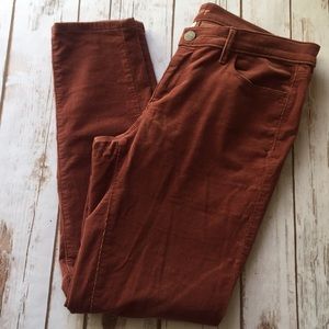 Ann Taylor Loft Modern Skinny Cords
