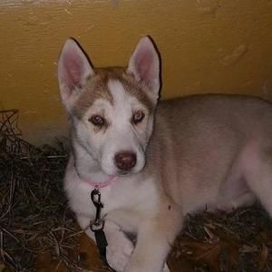 Meet your Posher, Maria