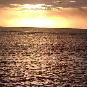 Meet your Posher, Gretza