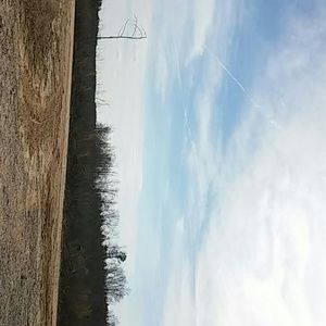 Meet your Posher, Tasha