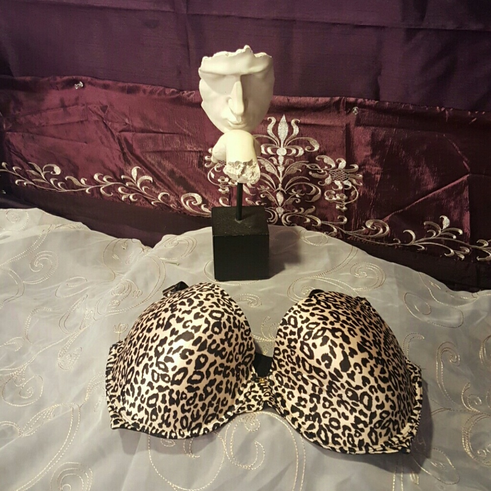 Fredericks of Hollywood bra