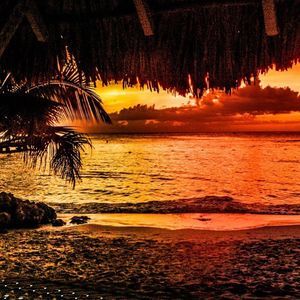 Meet your Posher, Belina