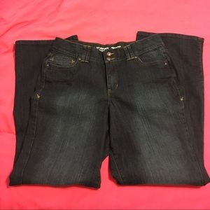 🌻🌻Lane Bryant boot cut dark wash jeans