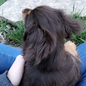 Meet your Posher, Kasey