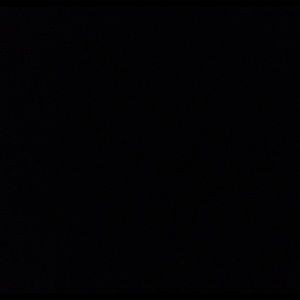 Meet your Posher, Dontasia