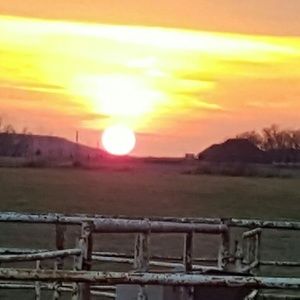 Meet your Posher, Toni